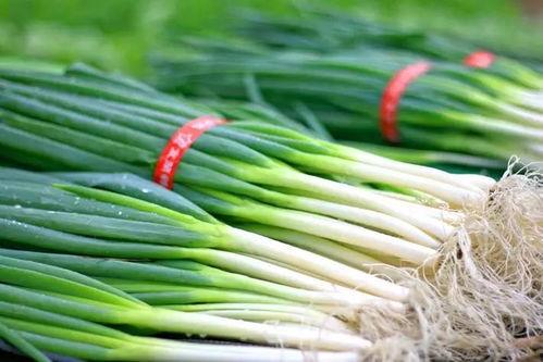 大善人吃瓜,揭秘慈善界的甜蜜诱惑 第1张 大善人吃瓜,揭秘慈善界的甜蜜诱惑 第1张