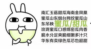 带你成为吃瓜群众,带你轻松成为吃瓜群众的必备指南 第2张 带你成为吃瓜群众,带你轻松成为吃瓜群众的必备指南 第2张