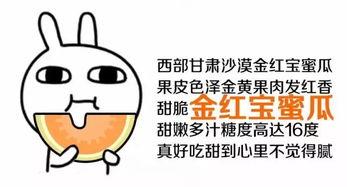 带你成为吃瓜群众,带你轻松成为吃瓜群众的必备指南 第3张 带你成为吃瓜群众,带你轻松成为吃瓜群众的必备指南 第3张